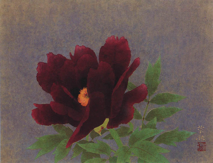 pivoine
