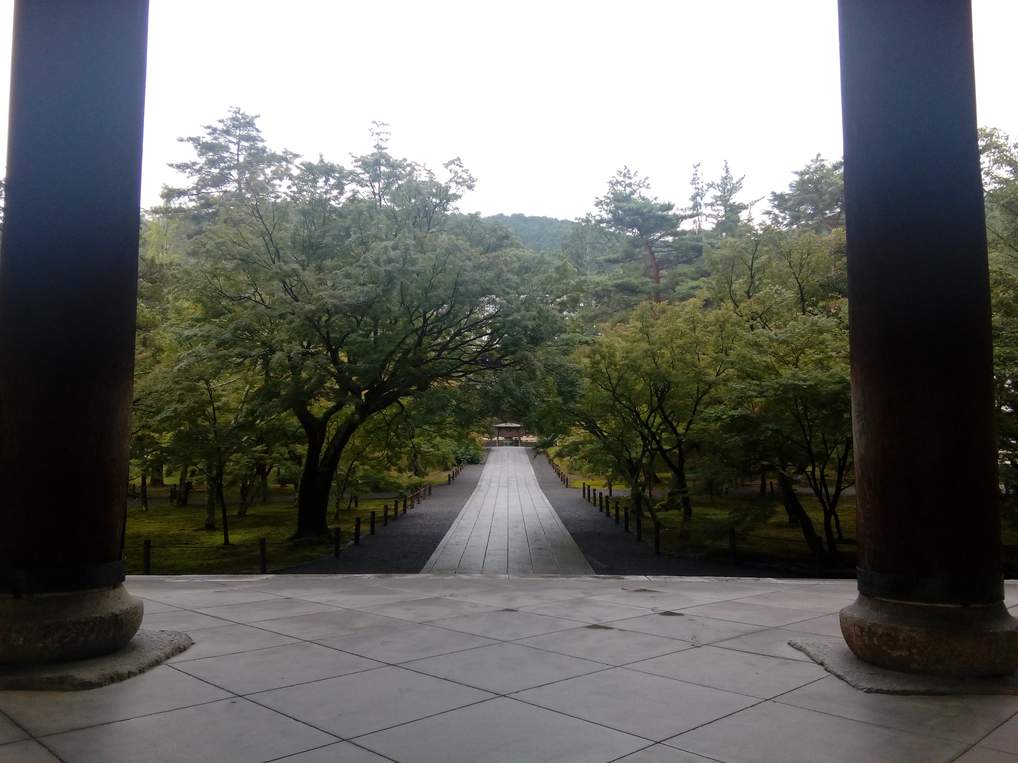 IMG 20190723 175103