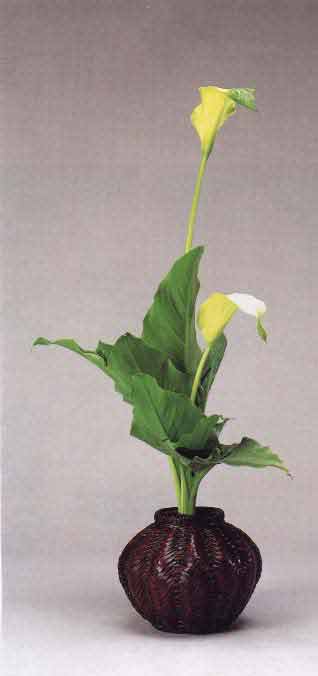 image seika1f