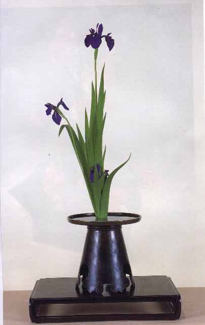 image seika2f