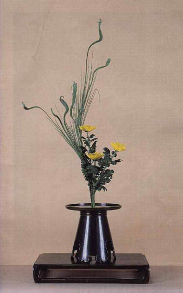 image seika4f