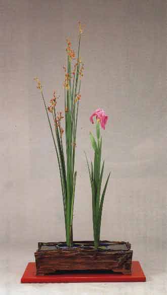 image seika5f